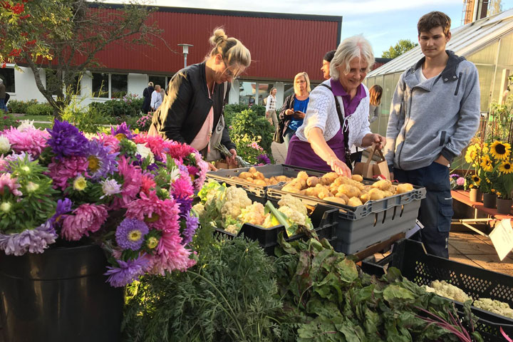 Local food market 