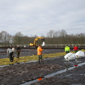 Farming for the future – CANAPE is building a pilot sphagnum farm in 2020. Previously this peatland field was drained to allow grazing, which releases significant amounts of CO2. The new crop keeps the soil wet, reducing CO2 emissions, and providing a sustainable harvest. Conservationists building a pilot sphragnum farm.