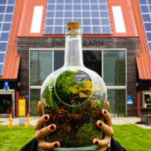 RIGHT is building right skills for the right future, to achieve a sustainable and innovative world. Sustainability and innovation are said to be the future, but the future is happening today! Regardless of who we individually are, we can all be part of the future. Innovation and sustainability can be nurtured, developed and shared by each of us. Person holding a glass bottle filled with green plants, with solar panels in the background.
