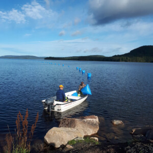 CORA: Broadband fibre from the Swedish side was laid through the lake Röjden up to the Norwegian border. The area between Torsby municipality in Sweden and Grue municipality in Norway is rural and consists mostly of dense forest. But there is a village and a conference hotel on the Norwegian side of the border, and they need good broadband connection. Two people in a boat placing blue floating markers for installing broadband between Norway and Sweden across lake Röjden.