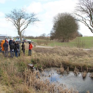The NuReDrain team experiences chilly conditions during a first project field test visit in Jutland. The pond on the right is a constructed wetland for the removal of nitrogen in agricultural runoff. A team of experts near a constructed pond for resting removal of nitrogen in agricultural runoff.