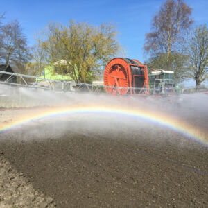 Irrigation of onions in SPNA in the Netherlands, one of SalFar's 16 test fields. The photo visualises the need for irrigation due to drought, one of the main climate impacts causing soil salinisation. It also shows how SalFar tackles challenges of salinisation: Pilots demonstrate that irrigation with brackish water works with some varieties of onions. Using brackish water to water crops can significantly reduce the pressure on freshwater resources. A rainbow created in an irrigation jet of water over soil on a sunny day.