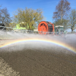Irrigation of onions in SPNA in the Netherlands, one of SalFar's 16 test fields. The photo visualises the need for irrigation due to drought, one of the main climate impacts causing soil salinisation. It also shows how SalFar tackles challenges of salinisation: Pilots demonstrate that irrigation with brackish water works with some varieties of onions. Using brackish water to water crops can significantly reduce the pressure on freshwater resources. A rainbow created in an irrigation jet of water over soil on a sunny day.