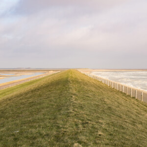 A dike with little difference between sea (on the right) and land (on the left). Due to climate change and sea level rise, agriculture in coastal areas is under pressure from soil salinisation and degradation of farmland. SalFar develops innovative farming methods adapted to saline conditions. The aim is to develop viable and sustainable alternatives of farming, improve resource efficiency, and create new food product chains that accelerate the greening of the European economy. A dike grown with green grass.