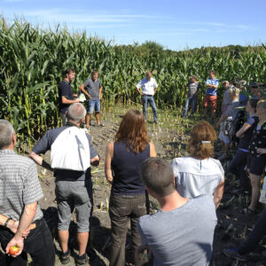 TOPSOIL: Under the motto “involvement as the key to understanding” stakeholders have actively participated in project meetings and workshops, providing expert knowledge and contributing to discussions on the key challenges of our TOPSOIL project. Photo: Leo Devree A group of people discussing in a maize field.