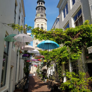 CUPIDO: Cupido's objective is to develop the cultural and cultural heritage sector in rural communities. The SMEs in the shopping street in Middelburg in Zeeland combined creativity with climate adaptation measures against heat-stress. The umbrellas were a spontaneous creative action by the entrepreneurs, and attracted new visitors, publicity and social media.
Partner: Middelburg Municipality (NL)
Photo: Wendy Westerloken A sunny street in Middelburg with greenery and blue, white and green umbrellas suspended in the air.