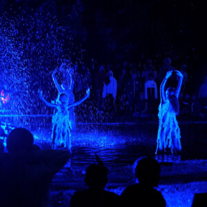 CUPIDO: The first edition of the transnational CUPIDO event “Light without Borders” took place in Nome, Norway and the second edition was performed in Rottneros Park, Sweden, both in collaboration with Sunne and Nome cultural schools.
Partners behind the events are Region Värmland, Sunne municipality, Rottneros park (Värmland), and Nome municipality (Nome).
Partner: Sunne Kommun (SE)
Photo: Mattias Marytale Dancers in blue light at night