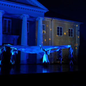 CUPIDO: With the performance Light Without Borders, the cultural heritage of Rottneros Park is redefined for 2021. The aim is to make cultural heritage visible for our time through modern technologies and contemporary art. A successful transnational cooperation between Nome, Norway and Värmland, Sweden within the cultural development project CUPIDO.
Partner: Region Värmland (SE)
Photo: Mattias Marytale Dancers dressed in white performing in blue light at night