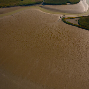 IMMERSE: Ebb and flood currents bring sediment into
motion and result in the formation of mudflats
and salt marshes in the Scheldt estuary (BE/NL).
In IMMERSE sediment management strategies
are improved to maintain a balanced
distribution of sediment and to preserve
valuable and useful estuarine habitats.
Photo: Bjorn Lauwerijs Aerial photo with estuary full of brown water.